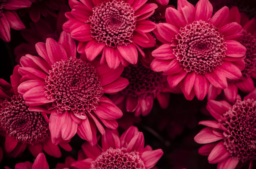 740603 (a): :2048x1356